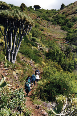 Wanderausflüge ins Hinterland